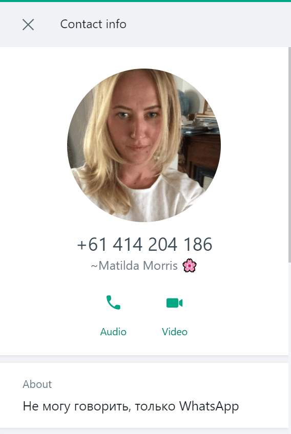 Russian text on Matilda's WhatsApp profile. The phone numbers is probably fake.